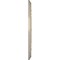 Ekena Millwork Baltimore PVC Medallion (Canopies up to 4 1/4"), 10"OD x 3 1/2"ID x 3/4"P, Metallic Mist CMP10BAEPE - alternate 3